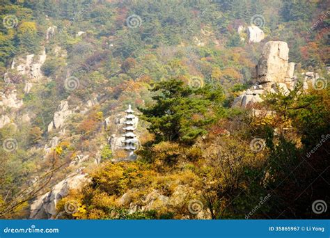 如何坐車去嶗山？嶗山不僅僅是山景，更是一處富含歷史文化與自然風光的秘境。